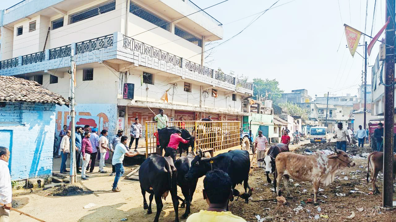 गोबर फैलाने वाले 4 डेयरी मालिकों पर 14 हजार जुर्माना गोबर फैलाने वाले 4 डेयरी मालिकों पर 14 हजार जुर्माना