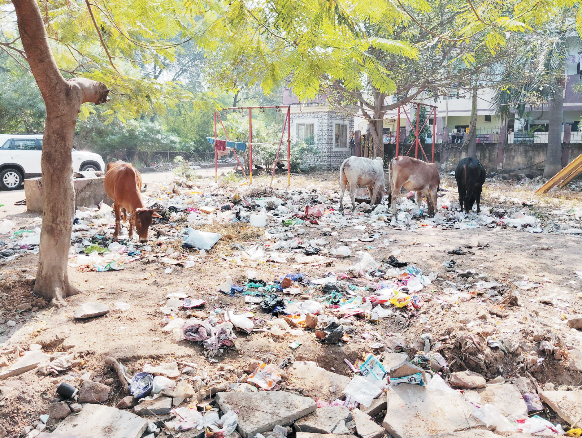 नियमित कर्मी व स्वच्छता दीदियां हड़ताल पर