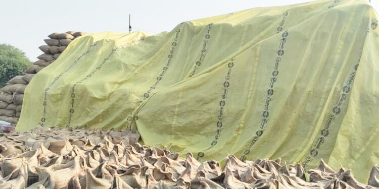 लवन में धान जाम