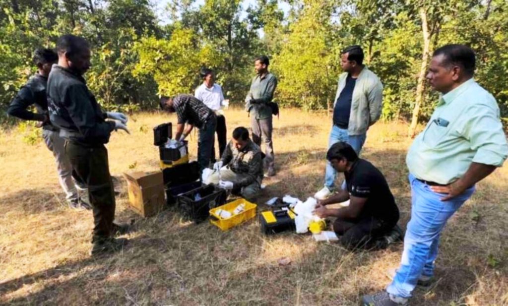 कोरबा: घायल हाथी का इलाज शुरू, वन विभाग ने बनाई विशेष निगरानी टीम