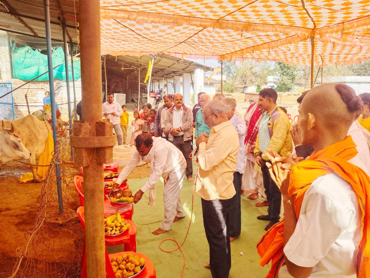 पशु चिकित्सा शिविर 