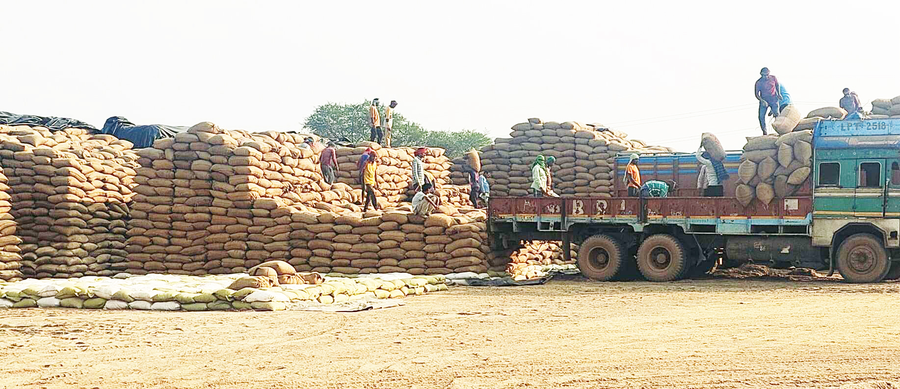 72 हजार किसानों से 36 लाख क्विंटल धान  की खरीदी