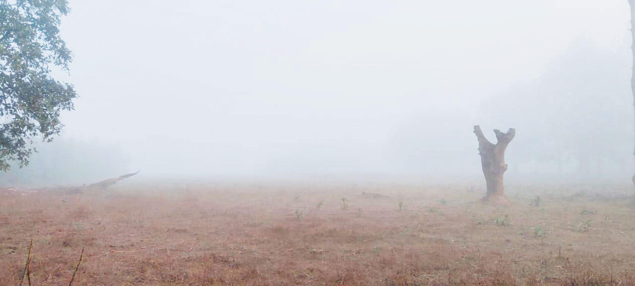 ग्रामीण क्षेत्रों में कड़ाके की ठंड सुबह से ही सडक़ों पर कोहरा