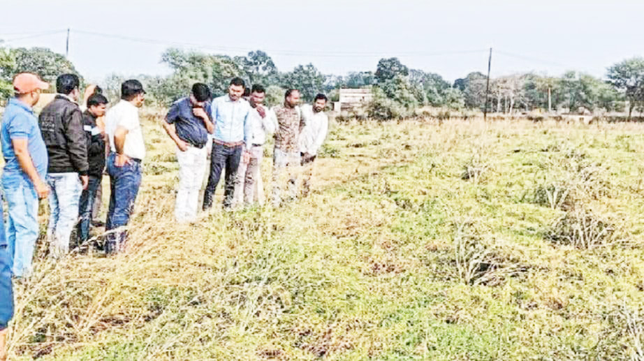 5 हजार से अधिक किसानों ने नहीं कराया फसल बीमा