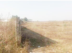 भू माफियाओं सहित कोटवारों पर भी मेहरबान राजस्व विभाग! भू माफियाओं सहित कोटवारों पर भी मेहरबान राजस्व विभाग!
