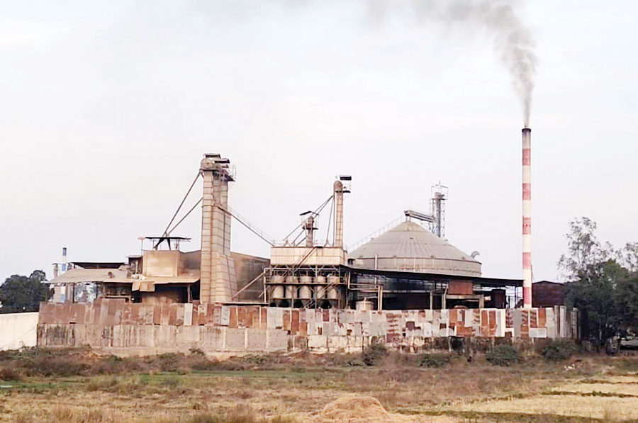 राइस मिल की राखड़ और धुएं से त्रस्त लोग, बीमारी और प्रदूषण से बढ़ी परेशानी