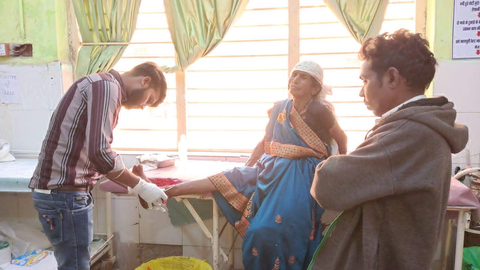 आवारा कुत्तों ने बालक-बुजुर्ग, महिला के साथ 5 लोगों को काटा आवारा कुत्तों ने बालक-बुजुर्ग, महिला के साथ 5 लोगों को काटा