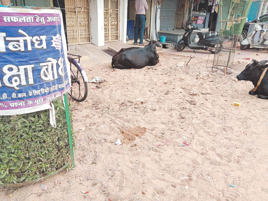 गुणवत्ता पूर्ण कार्य की पोल... गुणवत्ता पूर्ण कार्य की पोल...