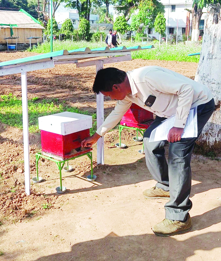 शहद में औषधीय गुणों का खजाना, अतिरिक्त आमदनी कमाने मधुमक्खी पालन में बढ़ रही किसानों की रुचि