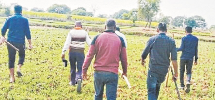 साजा में पूर्व मंत्री चौबे के फार्महाउस के पास दिखा बाघ