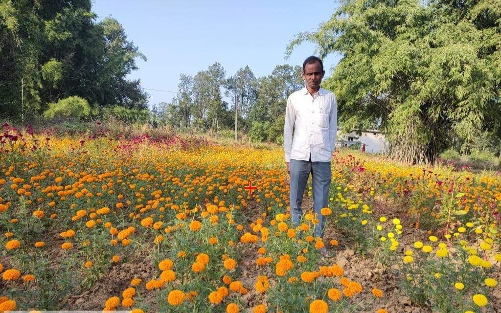 पारंपरिक खेती के साथ-साथ लक्ष्मण  ने शुरू की गेंदा फूल की खेती