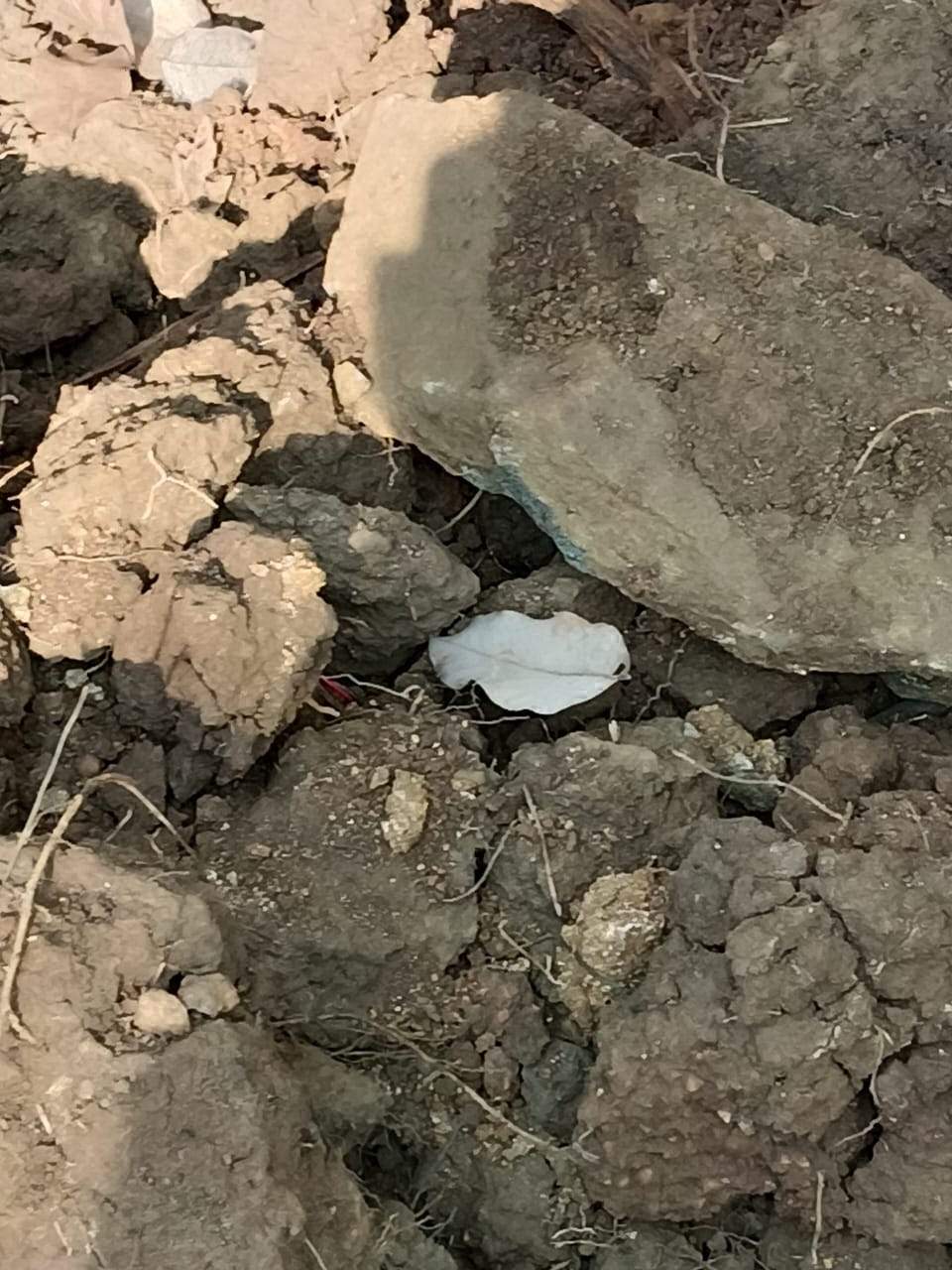 2 बम बरामद, किया निष्क्रिय