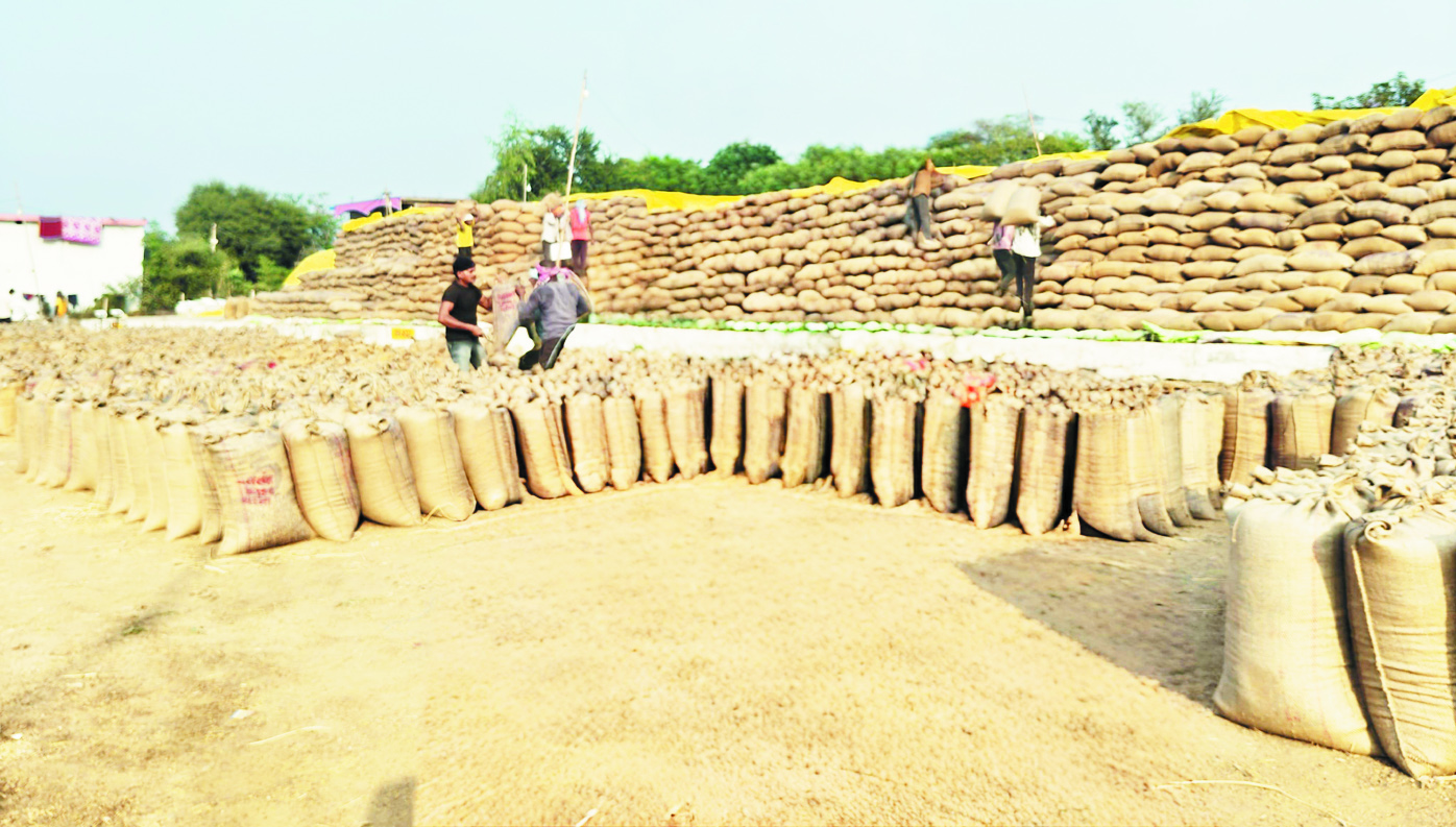 बलौदाबाजार में 8 लाख 55 हजार टन धान खरीदी