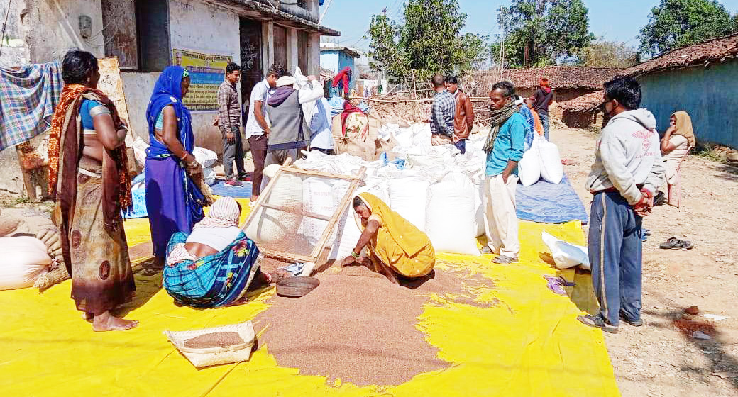 कोदो, कुटकी व रागी की खरीदी शुरु कोदो, कुटकी व रागी की खरीदी शुरु