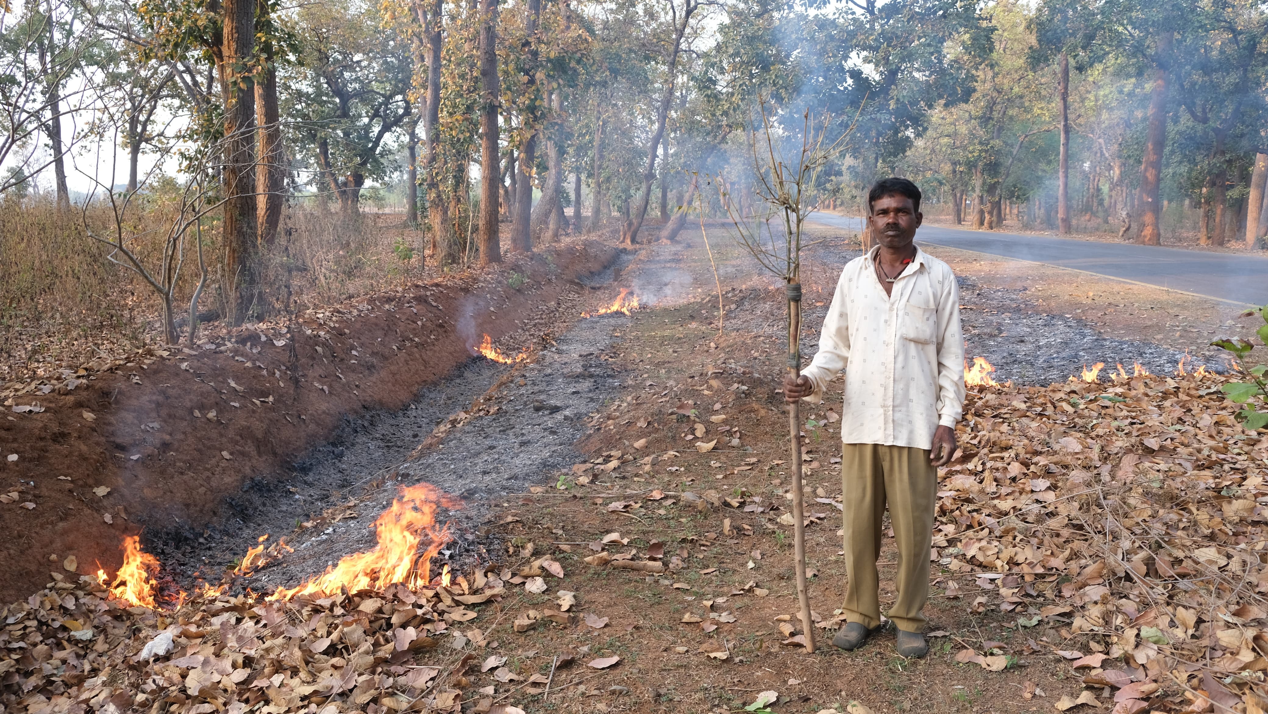 फायर लाइन