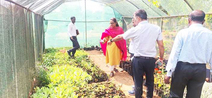 कलेक्टर ने मानपुर भ्रमण पर देखीं विविध गतिविधियां