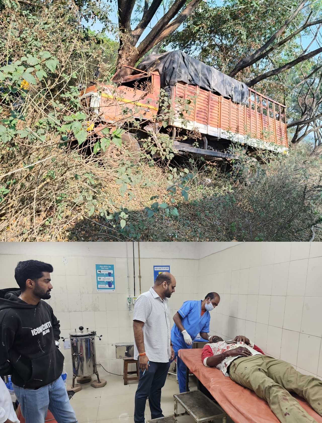 तेज रफ्तार ट्रक टकराई पेड़ से, चालक जख्मी