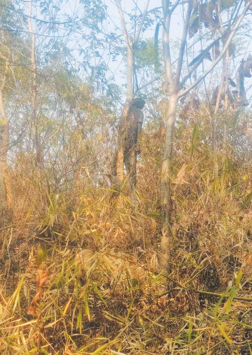 रायगढ़ में लापता ड्राइवर की पेड़ से लटकी मिली लाश रायगढ़ में लापता ड्राइवर की पेड़ से लटकी मिली लाश