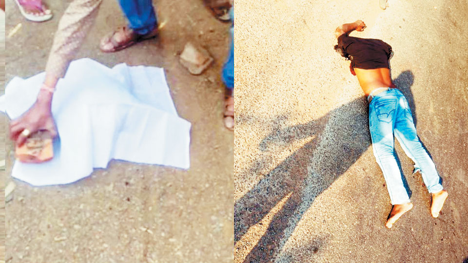  सडक़ हादसे में युवक की मौत, 2 गंभीर