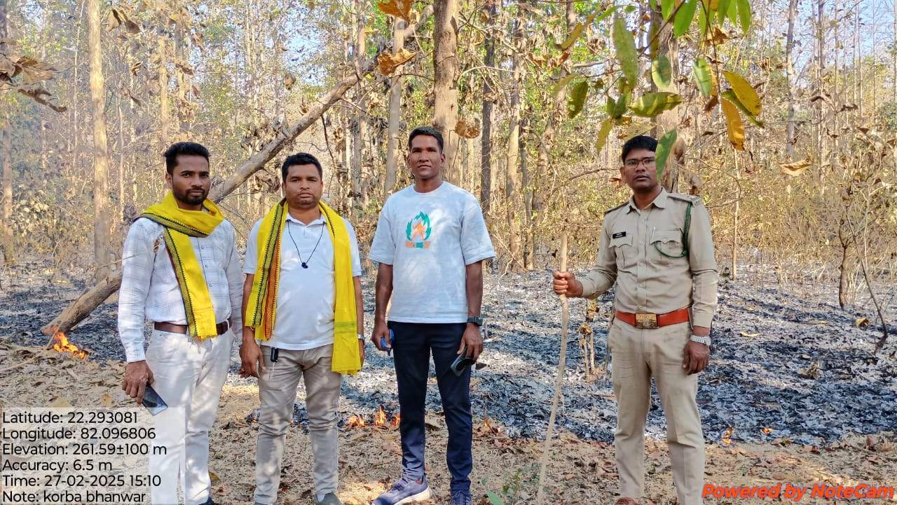 भैसाझार के जंगल में लगी आग भैसाझार के जंगल में लगी आग