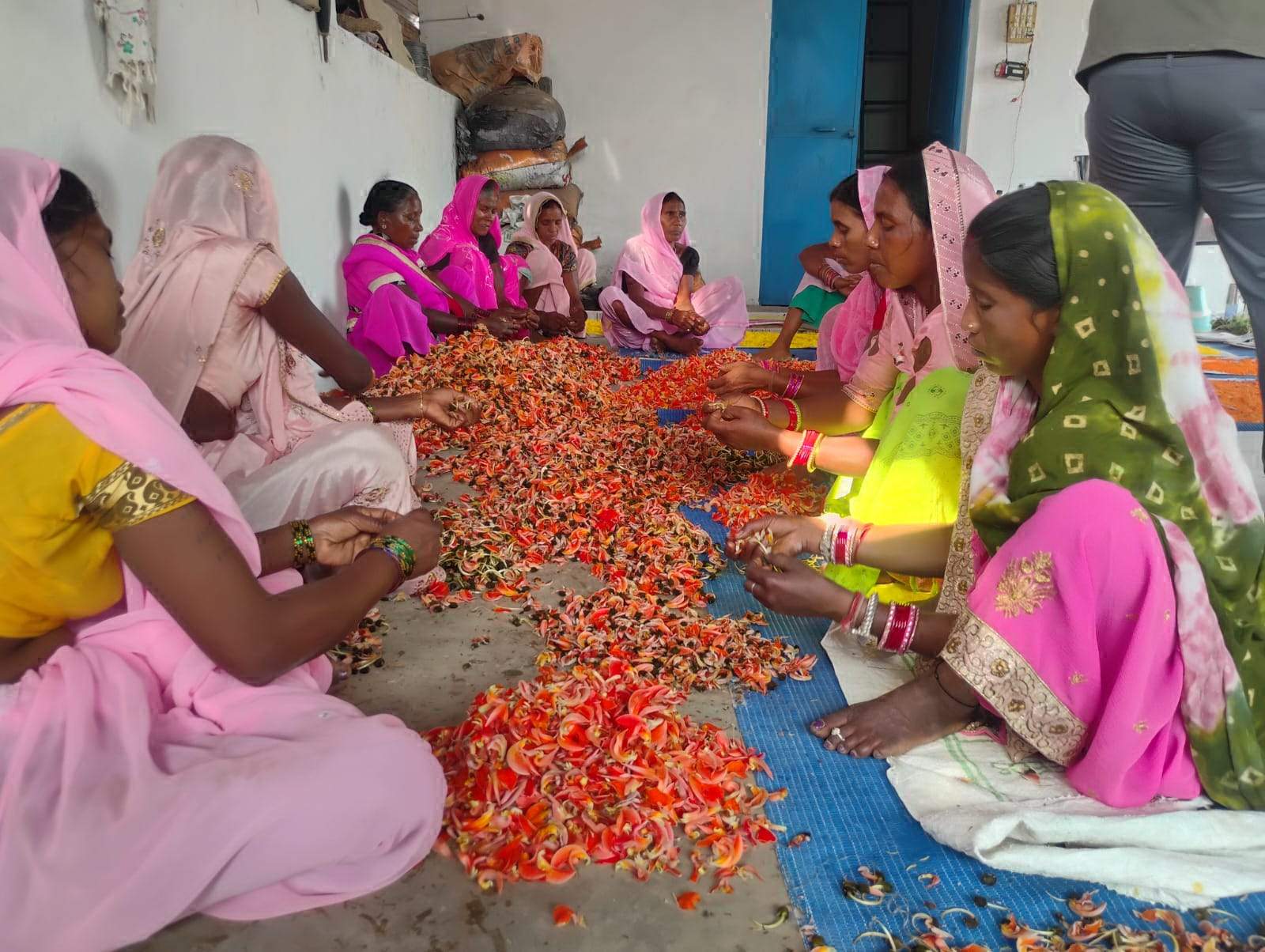 फूल और पालक भाजी से बनाई जा रही गुलाल