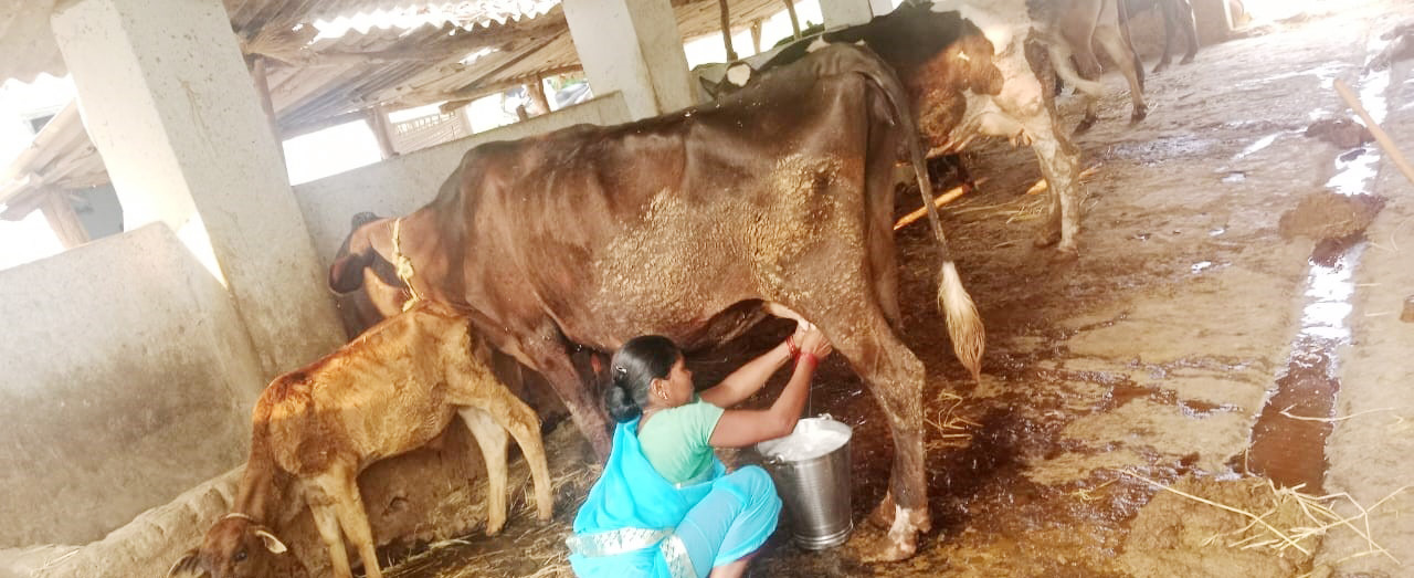 सफलता की नई कहानी लिख रहीं कोंडागांव की महिलाएं