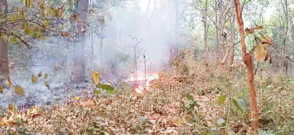 तमनार ब्लॉक के जंगलों में आग तमनार ब्लॉक के जंगलों में आग