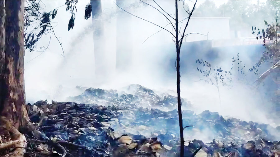 फॉरेस्ट डिपो में लगी आग, काबू