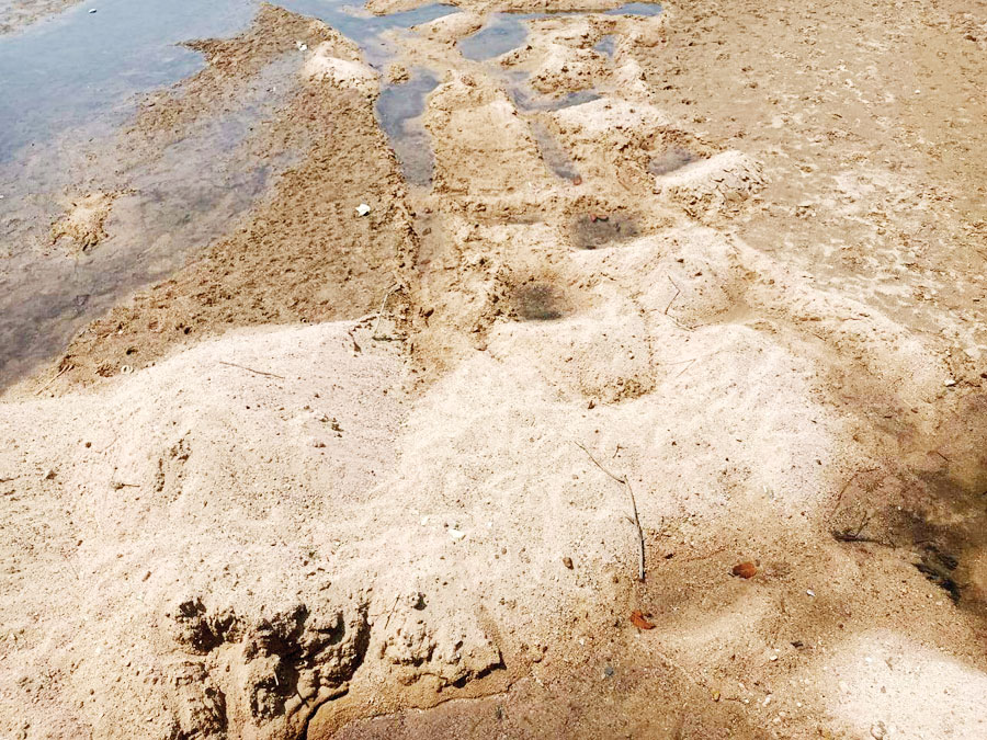 करोड़ों की लागत से बना एनीकट पहले ही साल हुआ सूखा