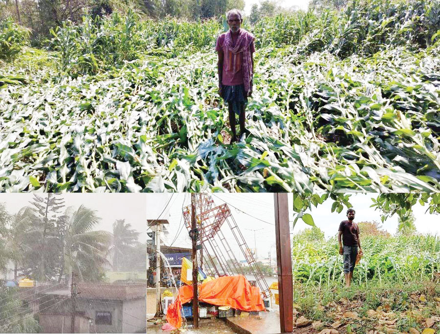 तेज बारिश और आंधी से भारी नुकसान, फसलें तबाह