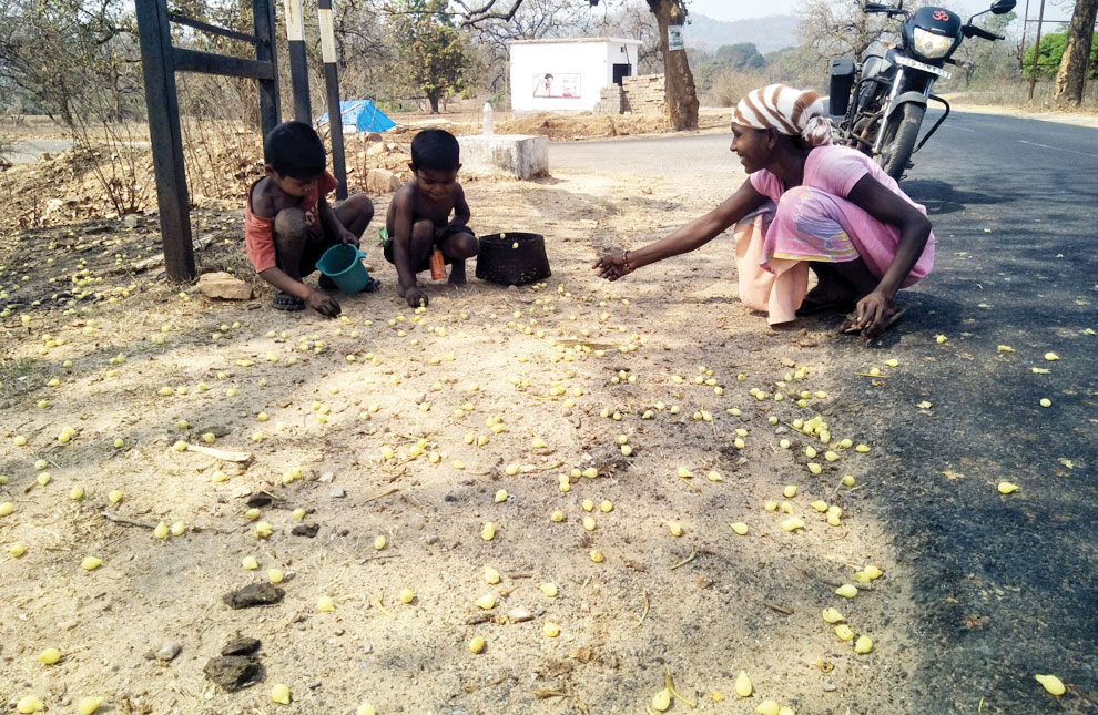 महुआ बीनने ग्रामीण कर रहे मशक्कत