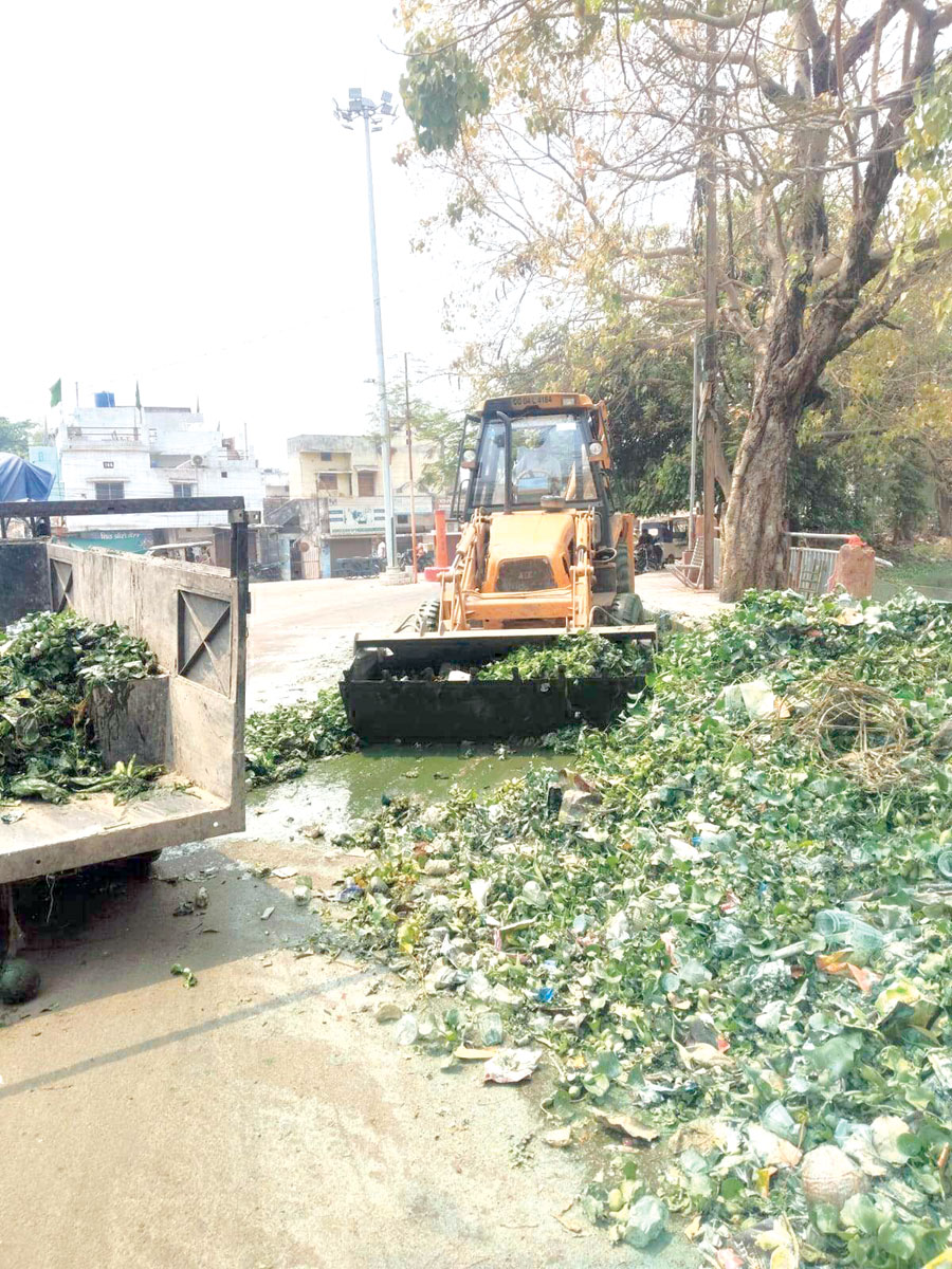 महाराजबंध तालाब से 15 डम्पर जलकुम्भी बाहर निकाला    