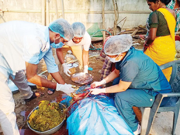 गाय के पेट से निकाली 50 किलो पॉलीथिन