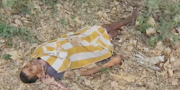 पेड़ पर लटकती मिली लाश पेड़ पर लटकती मिली लाश