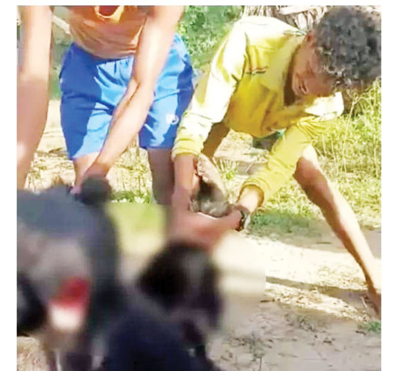 भालू से क्रूरता-हत्या का वीडियो फैला, जांच