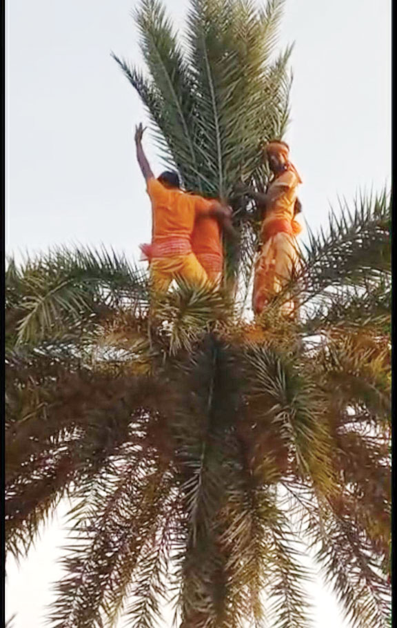 पश्चिम बोरगांव में खजूर भांगा और चरक पूजा महोत्सव