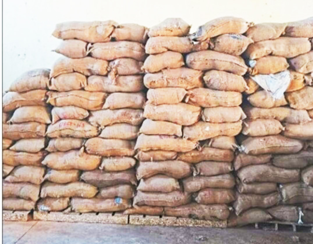 21 दिनों तक सरकारी बीज खरीदने के लिए भटकते रहे किसान