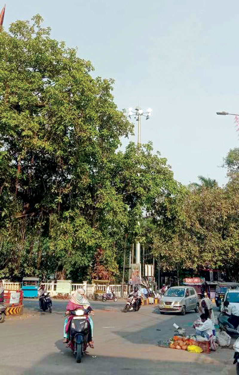 बिजली बचाने के लिए बैठक, और दिनभर जल रहे स्ट्रीट लाइट बिजली बचाने के लिए बैठक, और दिनभर जल रहे स्ट्रीट लाइट