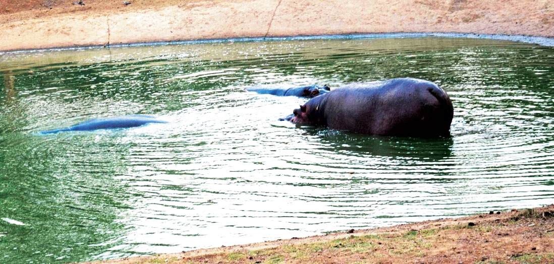 गर्मी का रिकार्ड बरकरार, शनिवार से टूटेगा गर्मी का रिकार्ड बरकरार, शनिवार से टूटेगा