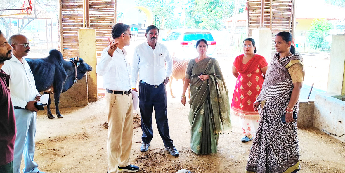 महापौर ने गौठान का किया निरीक्षण