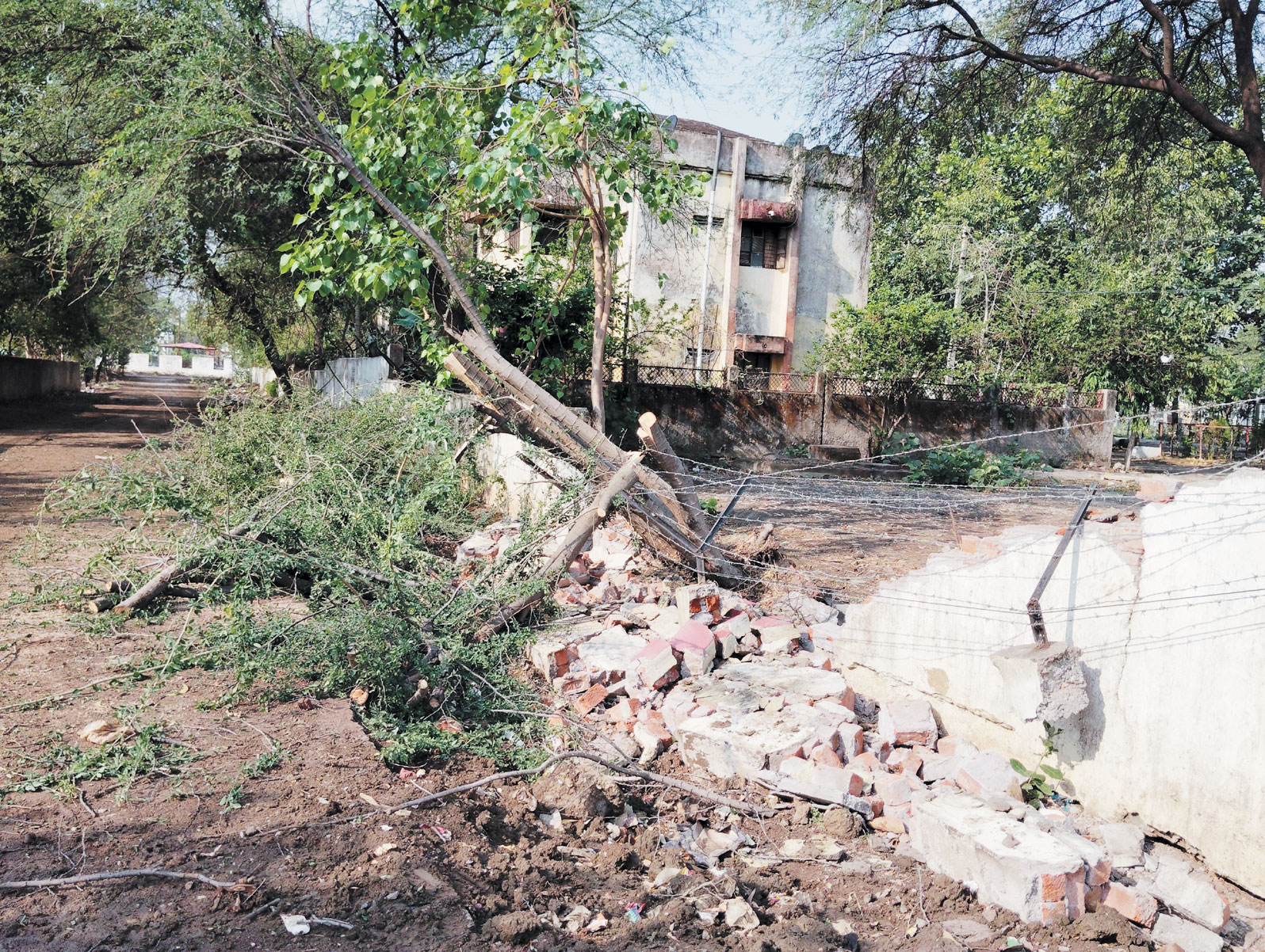 आंधी-तूफान से कई जगह पेड़ गिरे