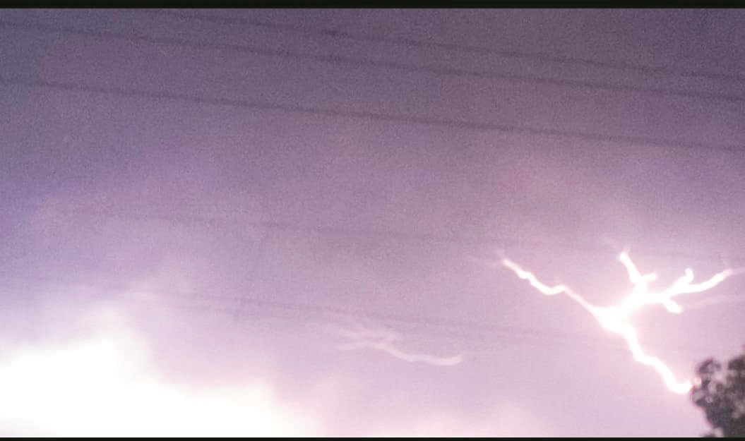 तेज अंधड़ के साथ बिजली गिरी, कई जगह पेड़-पोल धराशायी