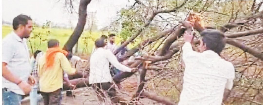 तेज हवाओं के साथ बारिश, पेड़ गिरे और बिजली गुल