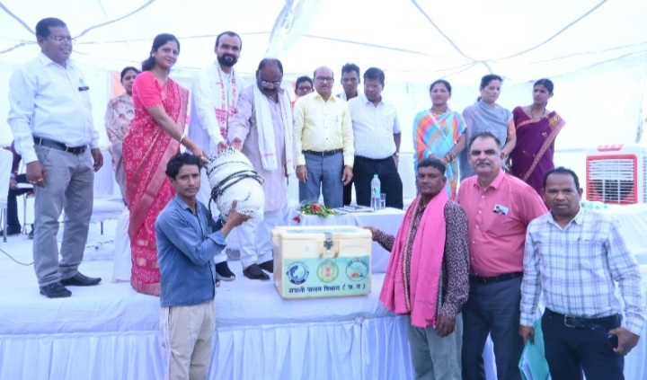 अमलीपदर एवं शोभा के स्वास्थ्य केन्द्र में एक सप्ताह के भीतर जनरेटर की व्यवस्था होगी - कलेक्टर अमलीपदर एवं शोभा के स्वास्थ्य केन्द्र में एक सप्ताह के भीतर जनरेटर की व्यवस्था होगी - कलेक्टर
