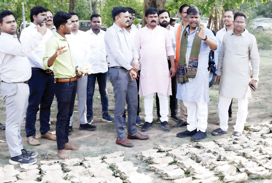 तेन्दूपत्ता संग्रहण से आदिवासी जीवन में बदलाव, हर पत्ता खरीदेगी साय सरकार- केदार कश्यप