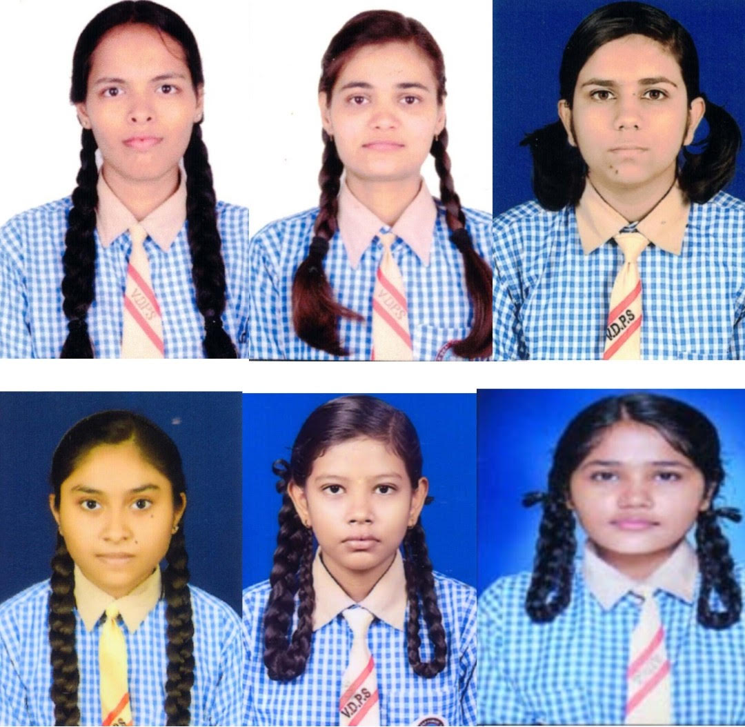 विद्यादीप पब्लिक स्कूल का उत्कृष्ट प्रदर्शन