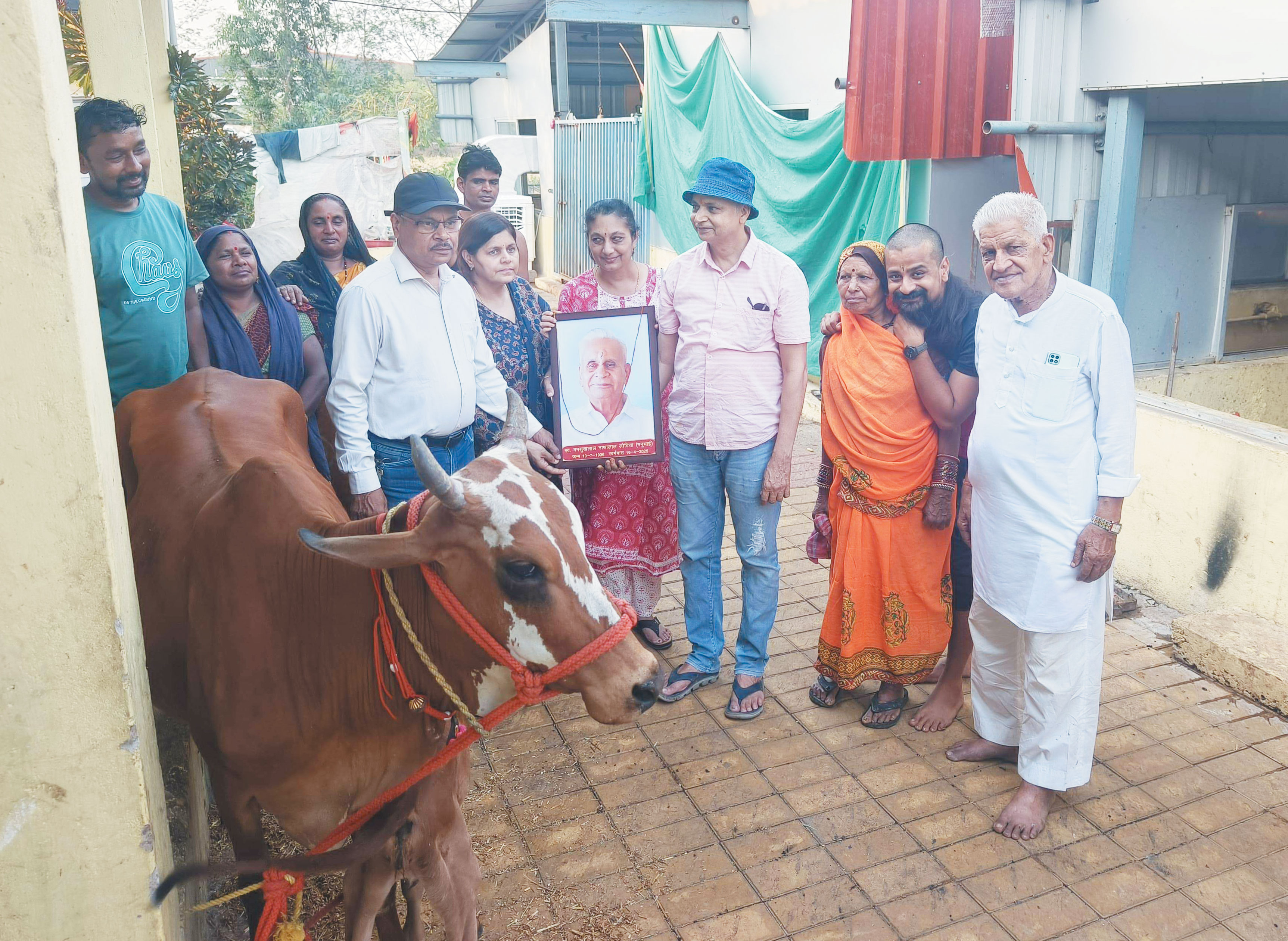 गौ सेवा की मिसाल बना लीलावती देवी भगवान दास गौ सेवा सदन