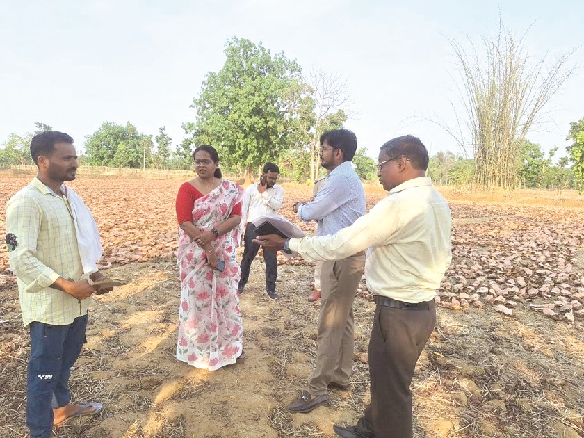 कलेक्टर ने किया तेंदूपत्ता खरीदी केंद्रों का निरीक्षण