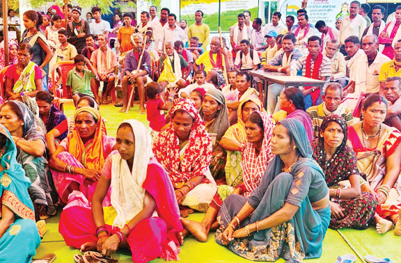  पाकेला में समाधान शिविर, 351 आवेदन