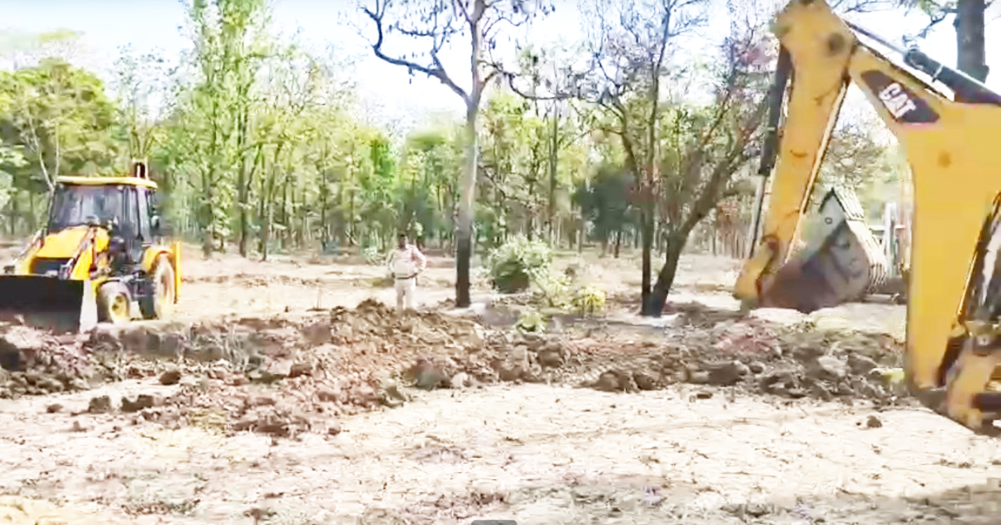 तमोरा के जंगल में सभी 52 बेजा कब्जाधारी ओडिशा के तमोरा के जंगल में सभी 52 बेजा कब्जाधारी ओडिशा के